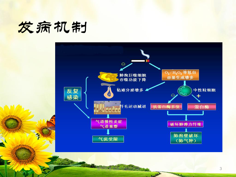 慢性阻塞性肺气肿的护理培训课件.ppt_第3页