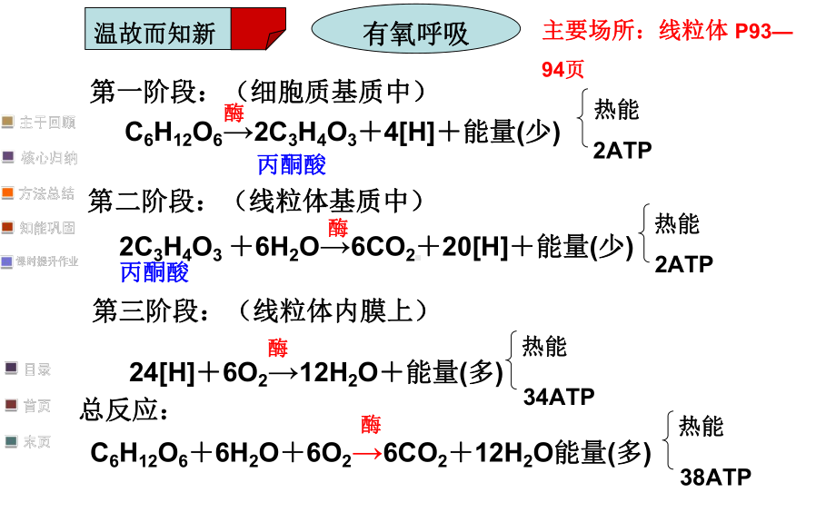 影响细胞呼吸的因素及应用课件.ppt_第1页