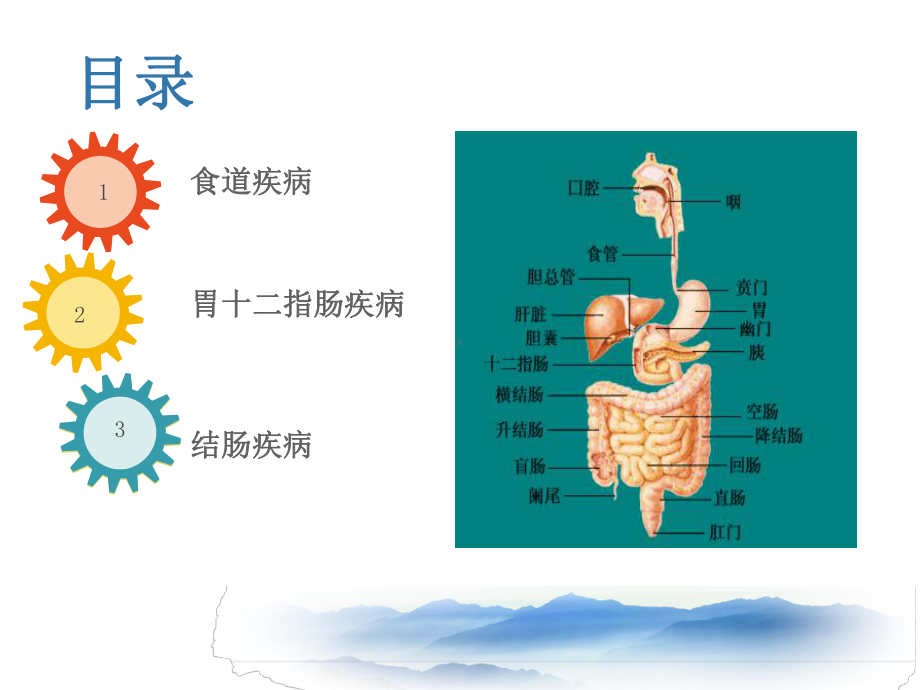 常见消化系统疾病的内镜诊断课件.ppt_第2页