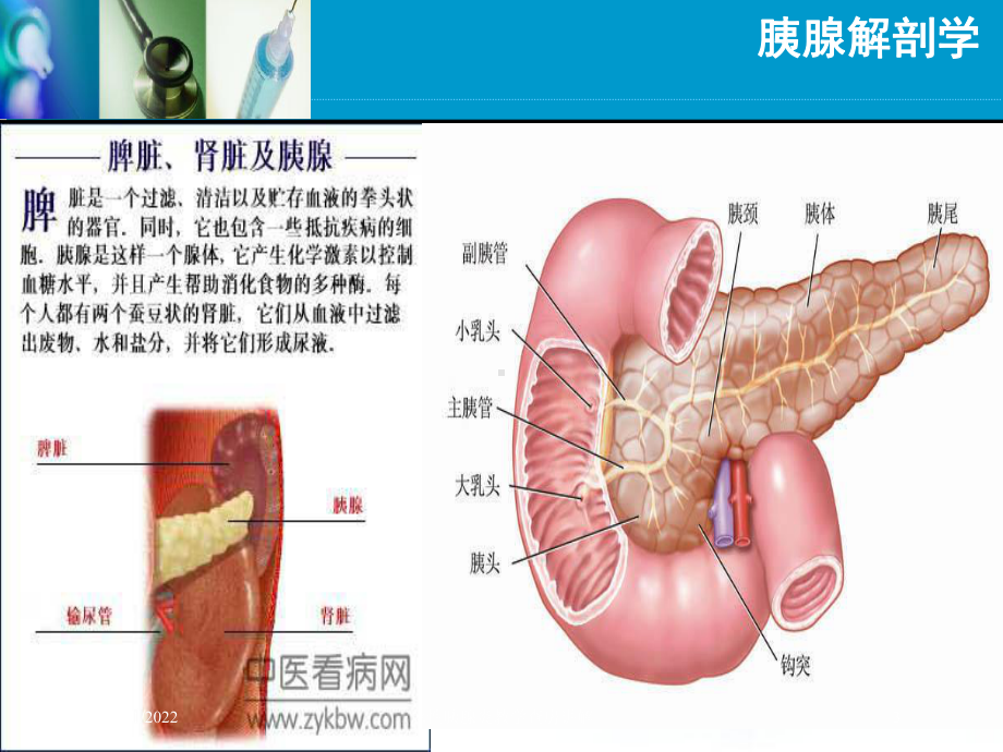 急性胰腺炎教学查房讲解培训课件.ppt_第3页