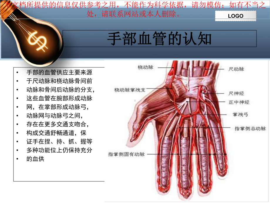 手部血管解剖和临床应用培训课件.ppt_第2页