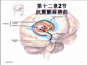 抗震颤麻痹药课件.ppt