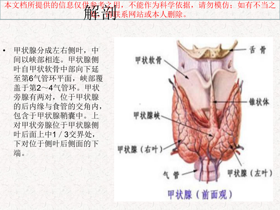 常见甲状腺疾病的CT诊疗培训课件.ppt_第1页