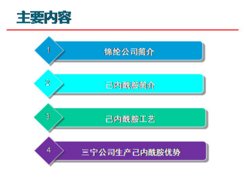 己内酰胺工艺课件.ppt_第2页