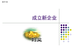 成立新企业课件.ppt