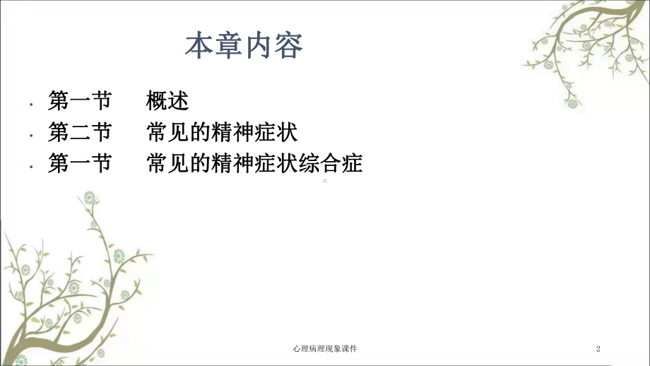 心理病理现象课件.ppt_第2页