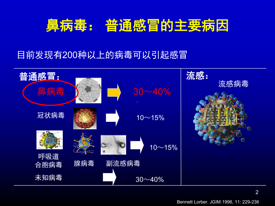 感冒与呼吸系统疾病课件.ppt_第2页