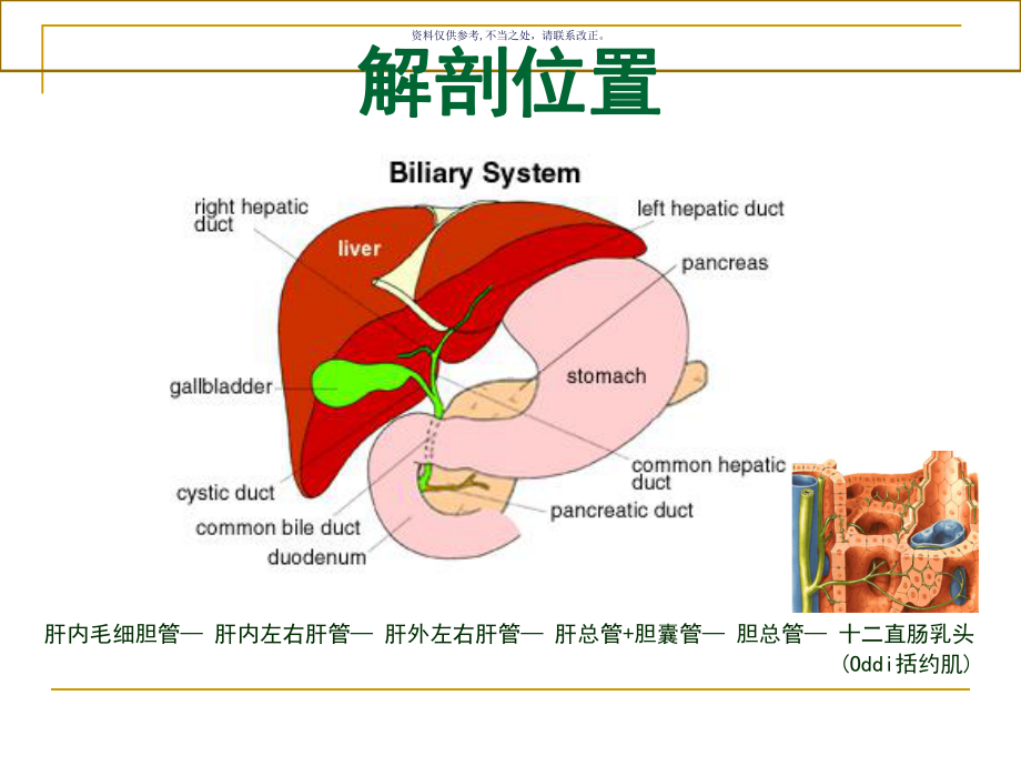 常见的几种胆道疾病讲义课件.ppt_第1页