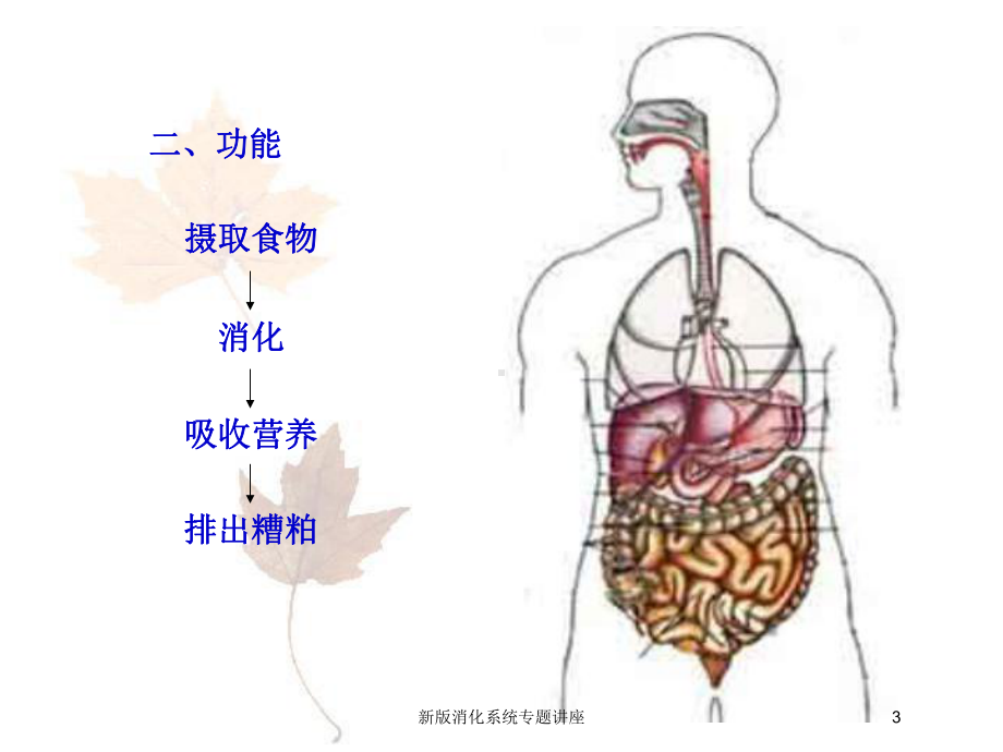 新版消化系统专题讲座培训课件.ppt_第3页