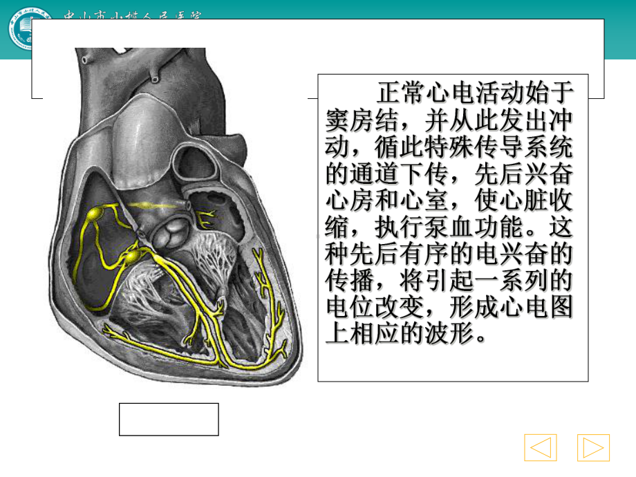 常见心律失常及处理课件-2.ppt_第2页