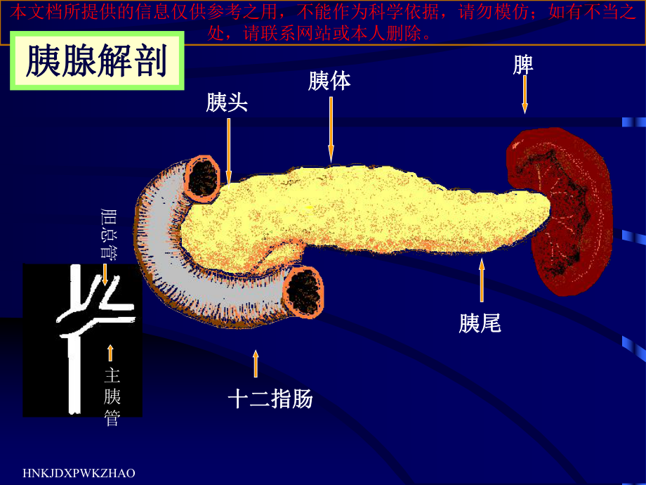 急性胰腺炎诊疗和治疗培训课件.ppt_第3页