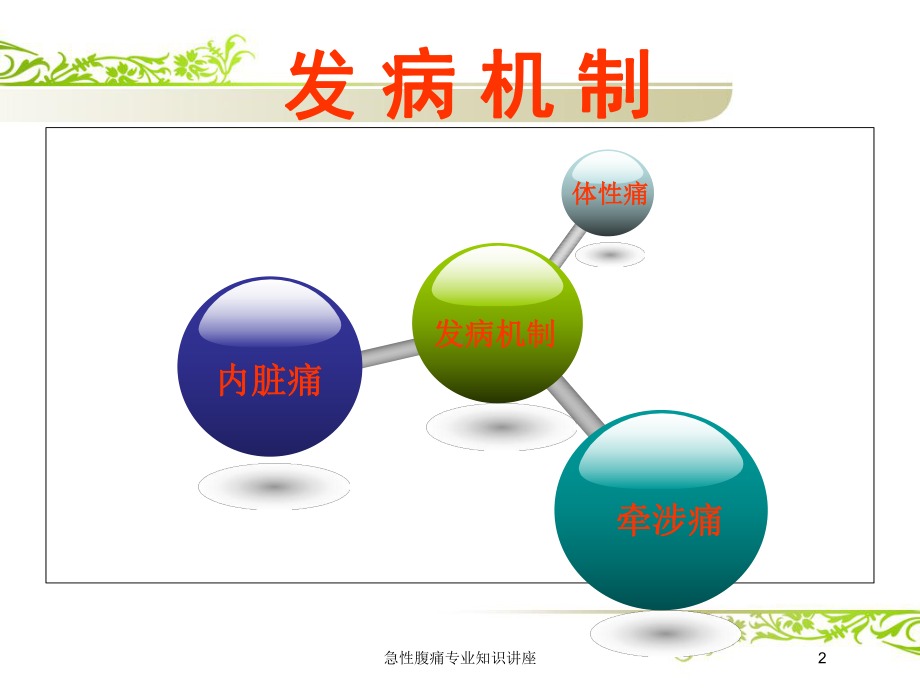 急性腹痛专业知识讲座培训课件.ppt_第2页