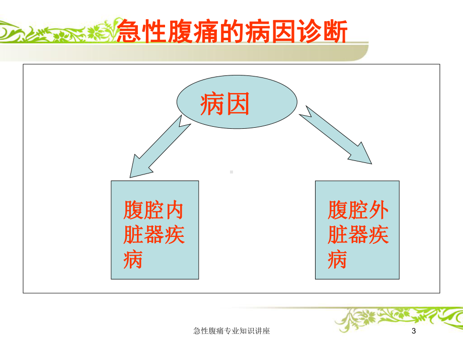 急性腹痛专业知识讲座培训课件.ppt_第3页