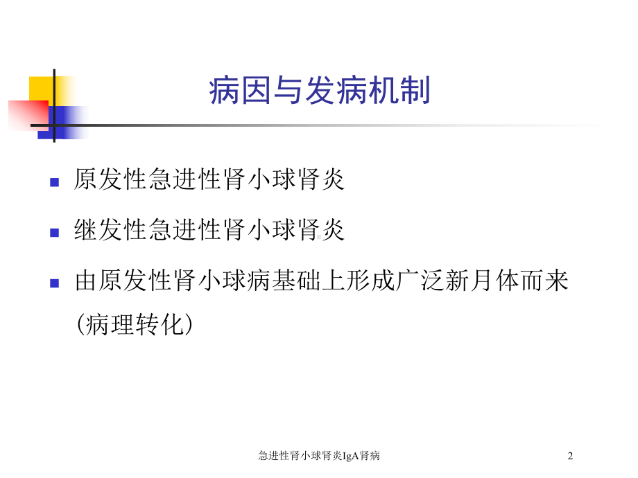 急进性肾小球肾炎IgA肾病培训课件.ppt_第2页