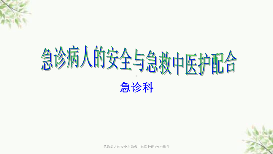 急诊病人的安全与急救中的医护配合课件.ppt_第1页