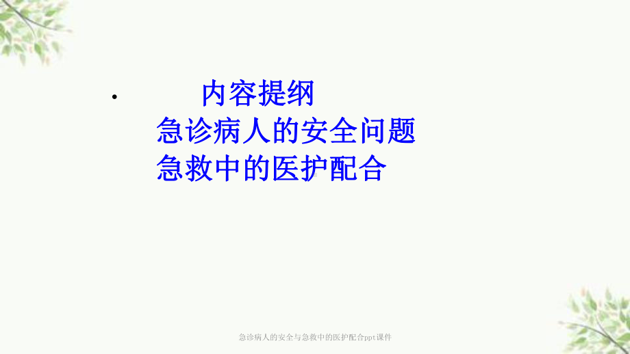 急诊病人的安全与急救中的医护配合课件.ppt_第2页