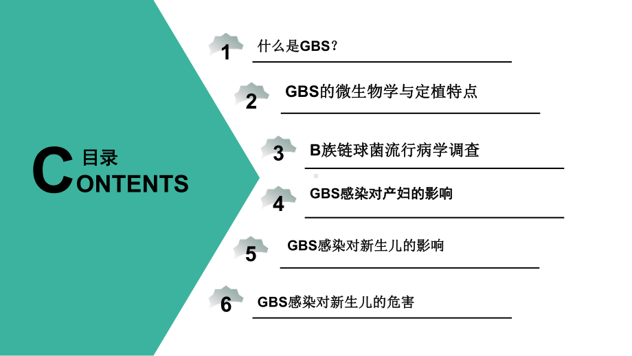 检测GBS的临床意义课件.ppt_第1页