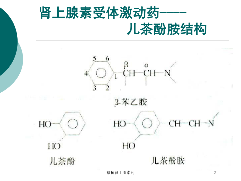 拟抗肾上腺素药培训课件.ppt_第2页