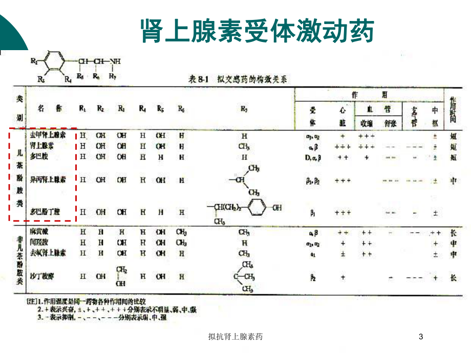 拟抗肾上腺素药培训课件.ppt_第3页