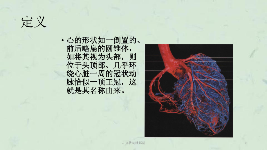 左冠状动脉解剖课件.ppt_第2页