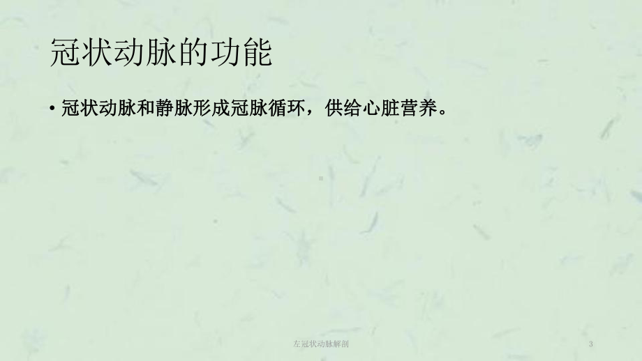 左冠状动脉解剖课件.ppt_第3页