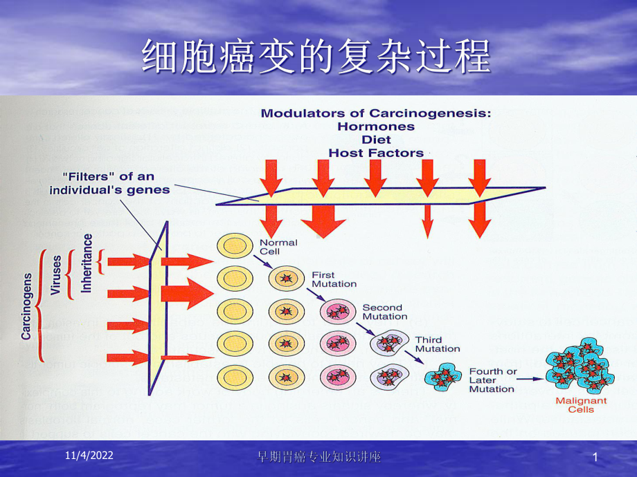 早期胃癌专业知识讲座培训课件.ppt_第1页