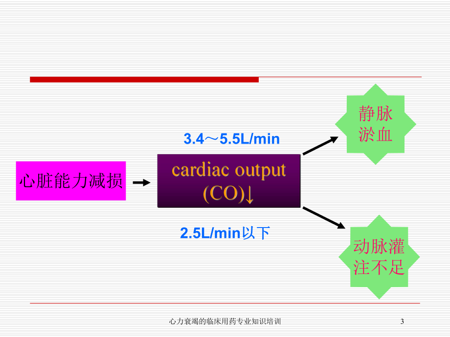 心力衰竭的临床用药专业知识培训培训课件.ppt_第3页