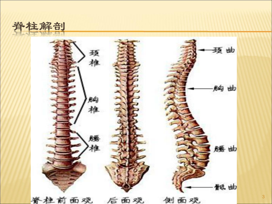 新版经皮椎体成形术的护理课件.pptx_第3页