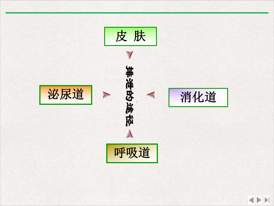 排尿的护理课件.ppt_第2页