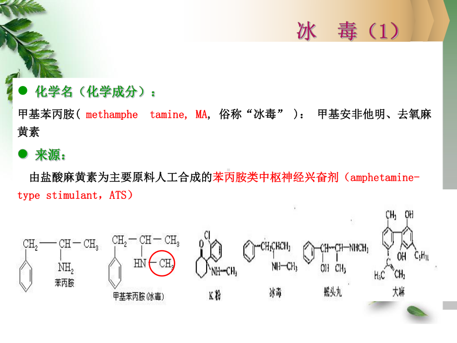 护理查房改教案指南教学课件.pptx_第3页