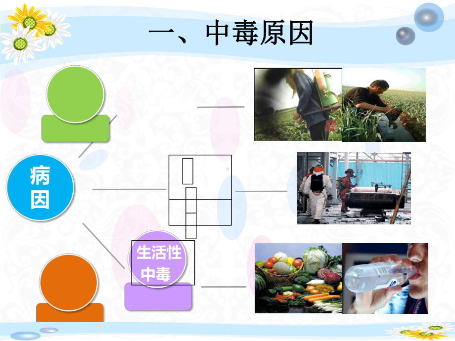 有机磷农药中毒的急救护理课件.ppt_第3页