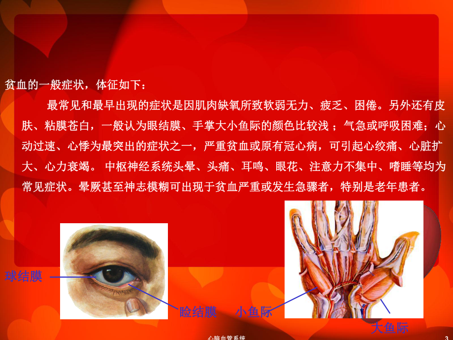 心脑血管系统课件.ppt_第3页