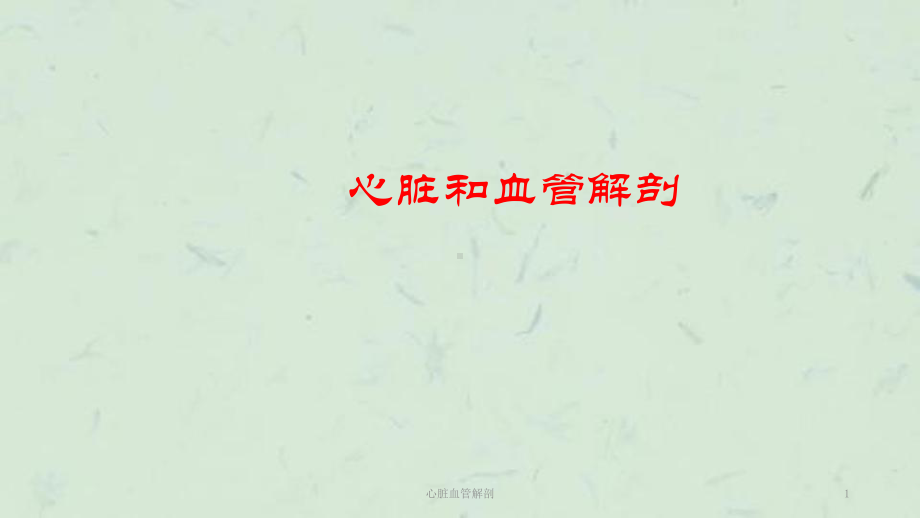 心脏血管解剖课件.ppt_第1页