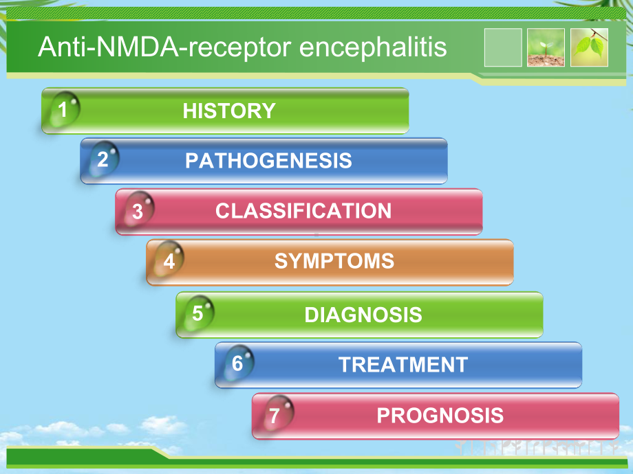 抗NMDA受体脑炎课件全面版.ppt_第2页