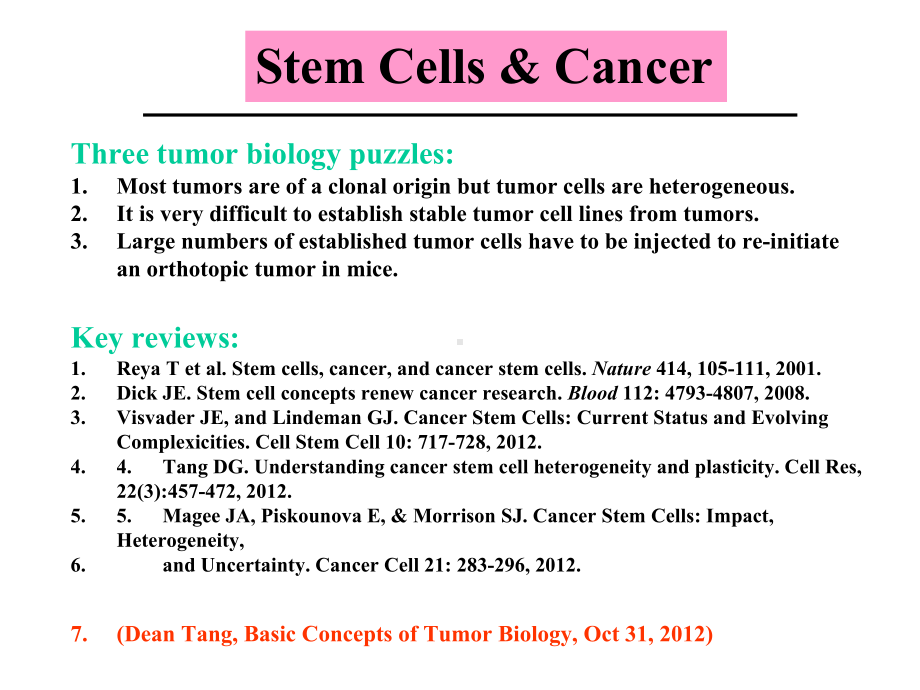 干细胞癌症描述课件.ppt_第3页