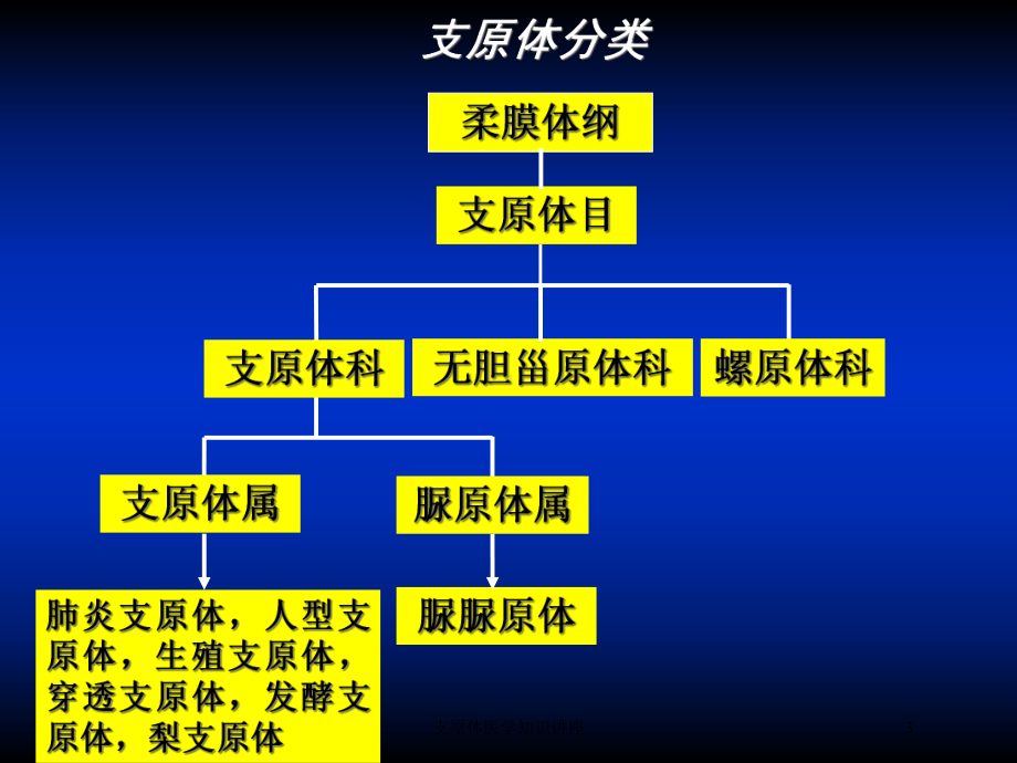 支原体医学知识讲座培训课件.ppt_第3页