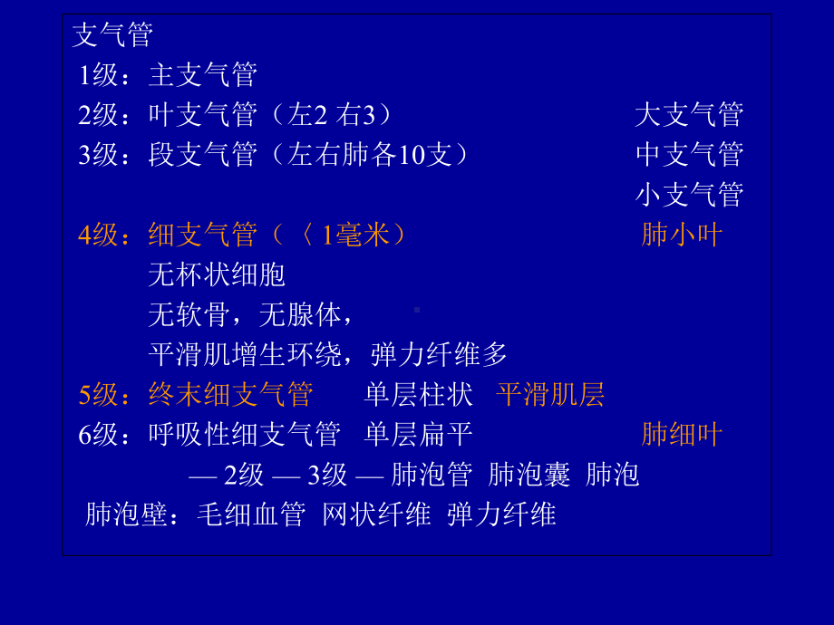 慢支炎—呼肿病理学课件.ppt_第3页