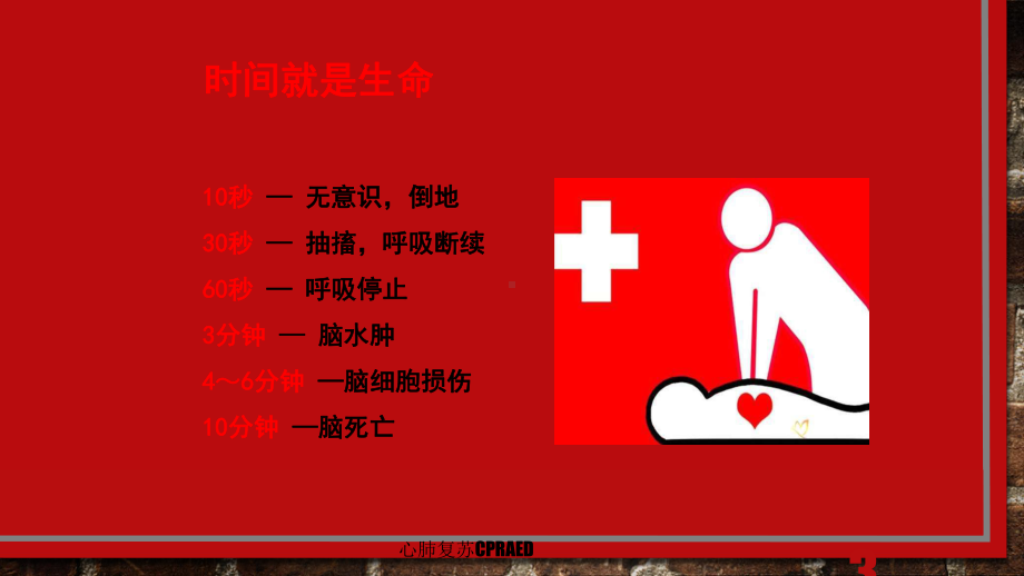 心肺复苏CPRAED培训课件.ppt_第3页