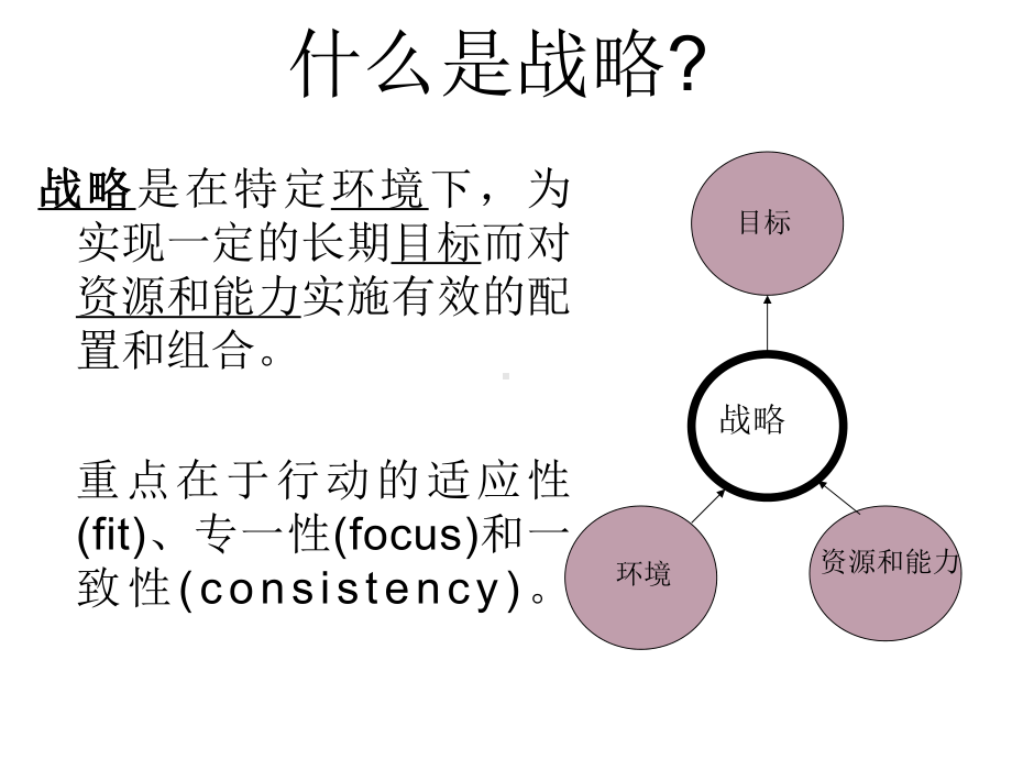 战略思考与战略执行教材课件.ppt_第3页