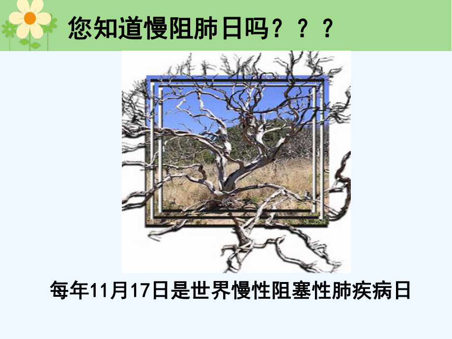 慢性阻塞性肺疾病知识课件.ppt_第3页