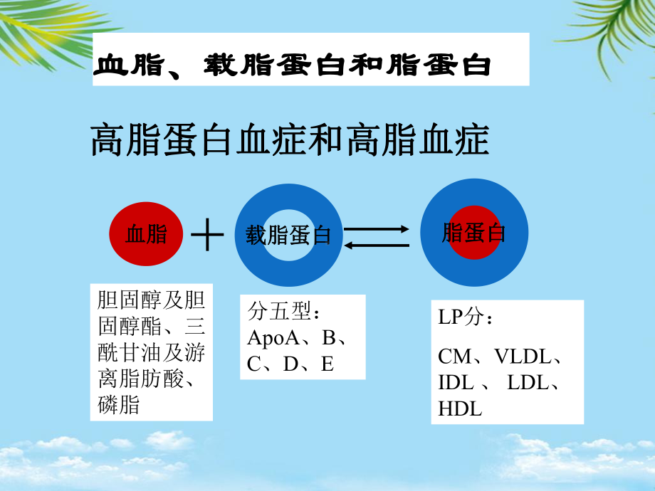 教培用药理学-调血脂药与抗动脉粥样硬化药课件.ppt_第3页