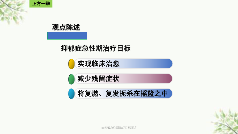 抗抑郁急性期治疗目标正方课件.ppt_第3页