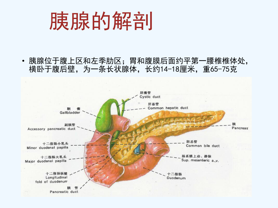 急性胰腺炎的护理课件.pptx_第3页