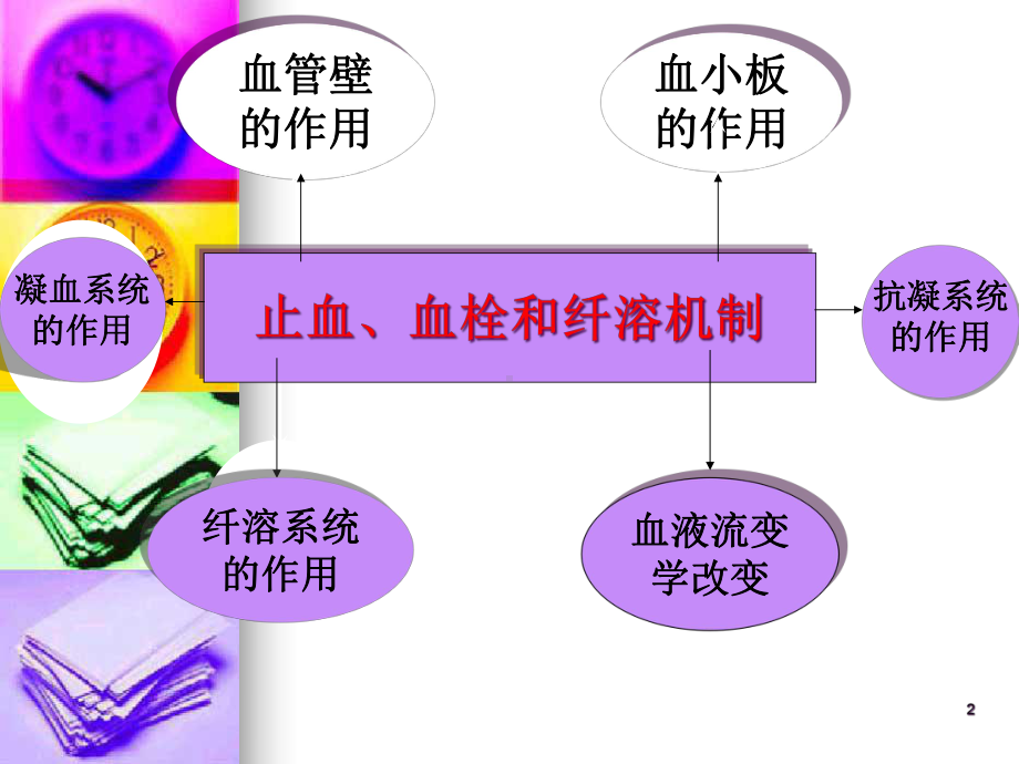 检验科三基培训课件.ppt_第2页