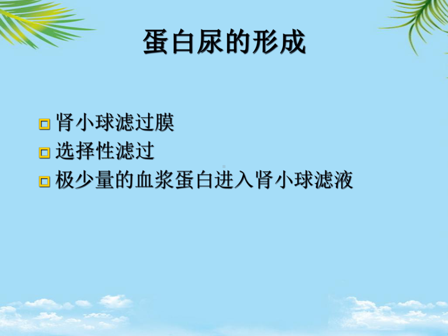 教培用蛋白尿的诊断思路课件.ppt_第3页