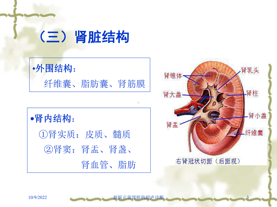 新版正常肾脏的超声诊断培训课件.ppt_第3页