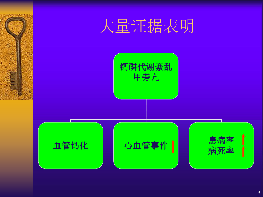 慢性肾衰的钙磷代谢紊乱及肾性骨病课件.ppt_第3页