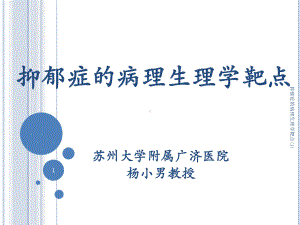 抑郁症的病理生理学靶点课件.ppt