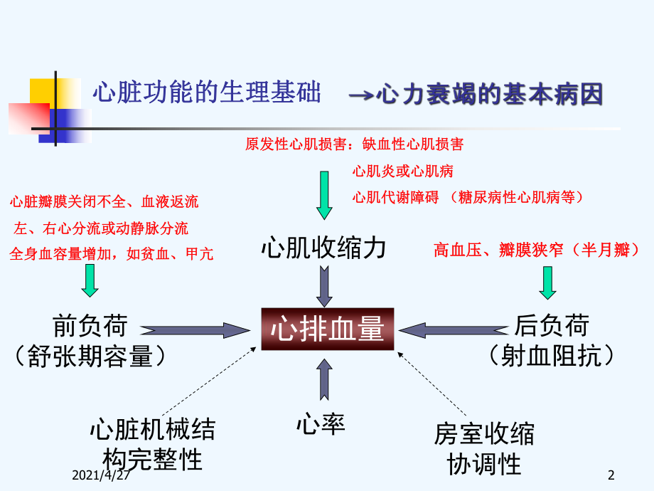 心力衰竭的基础与临床课件.ppt_第2页