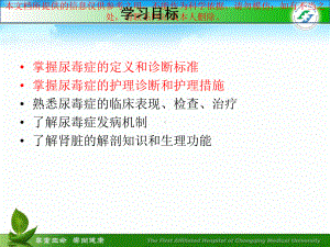 尿毒症的护理培训课件.ppt